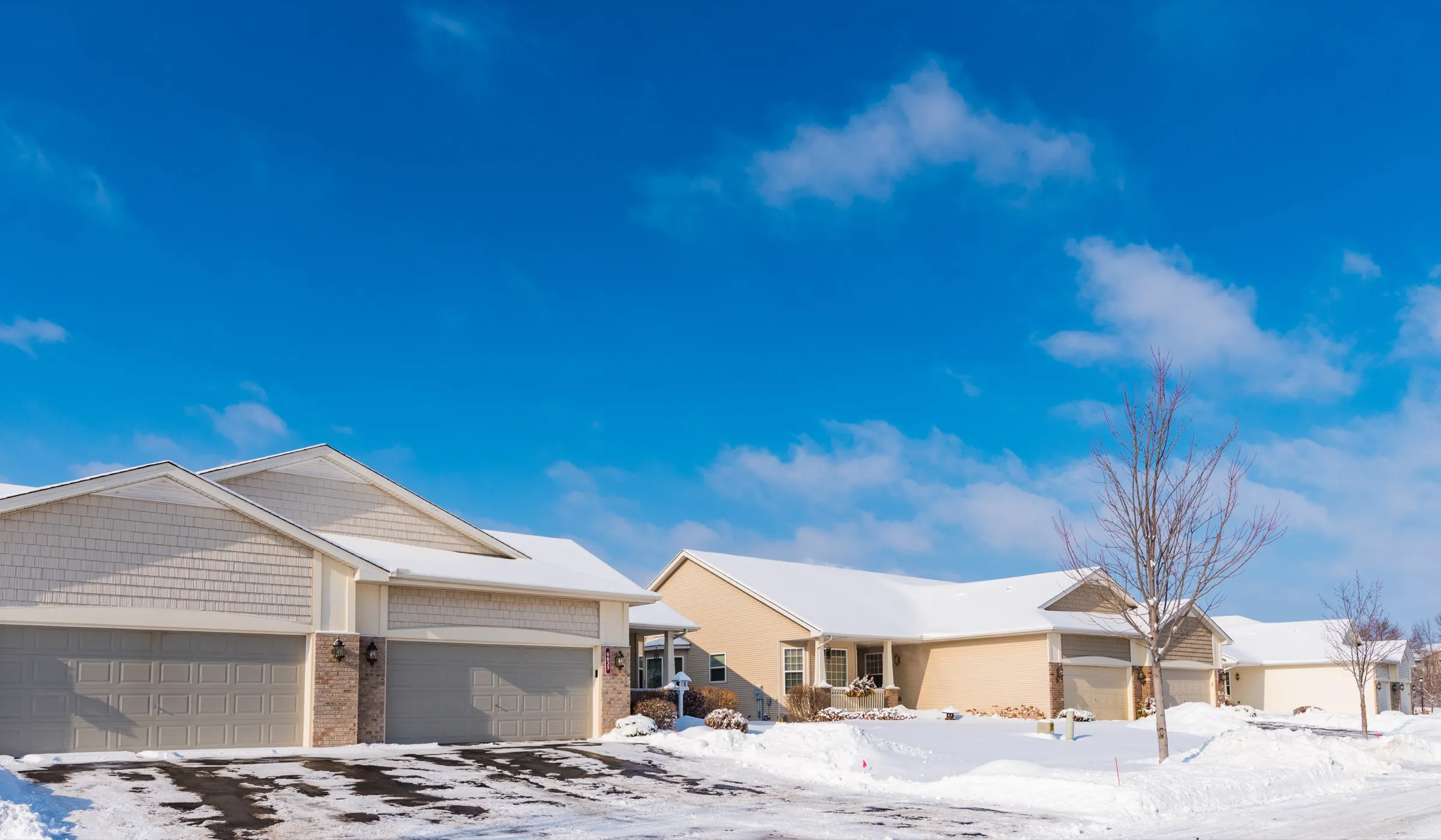 Tree-lined residential street in Maple Grove, Minnesota